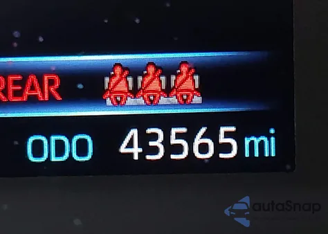 2024 Toyota Corolla Le z USA, uszkodzony, nr VIN 5YFB4MDEXRP120689